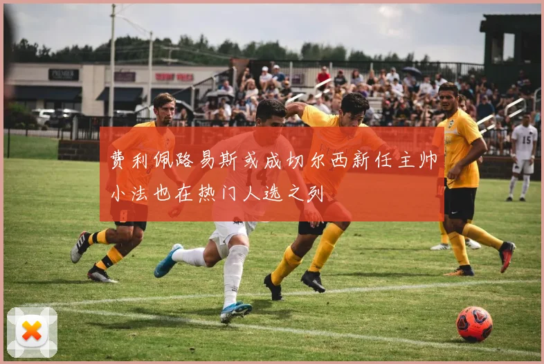 费利佩路易斯或成切尔西新任主帅小法也在热门人选之列